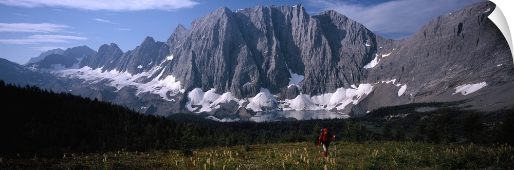 Hiker in a meadow, Floe Lake, Glacier National Park, British Columbia, Canada