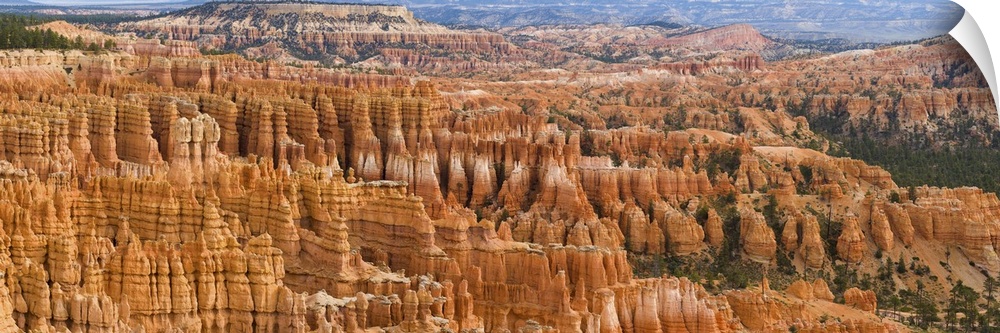 Hoodoo rock formations in a canyon from Inspiration Point, Bryce Canyon National Park, Utah, USA.