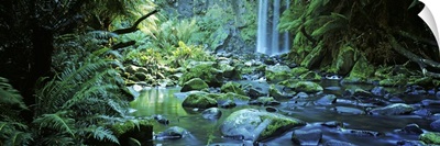 Hopetown Falls, Great Ocean Road, Otway Ranges National Park, Victoria, Australia