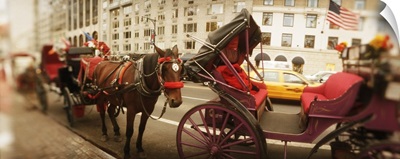 Horse drawn carriages at the roadside Central Park Manhattan New York City New York State