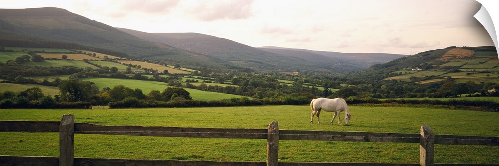 Big canvas photo of a horse grazing in a field with a fence in the foreground and rolling mountains in the distance.
