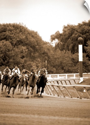 Horse race, Arlington Park, Chicago, Cook County, Illinois
