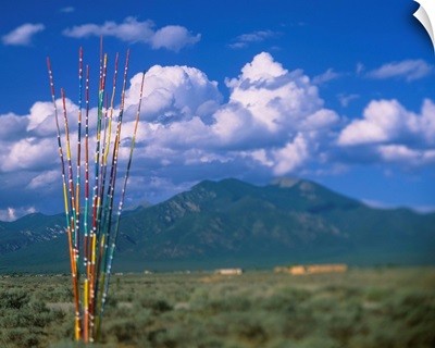 Horse spooker poles on a ground, Taos, Taos County, New Mexico