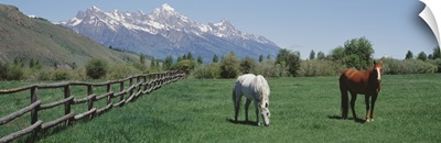 Horses and Teton Range Grand Teton National Park WY