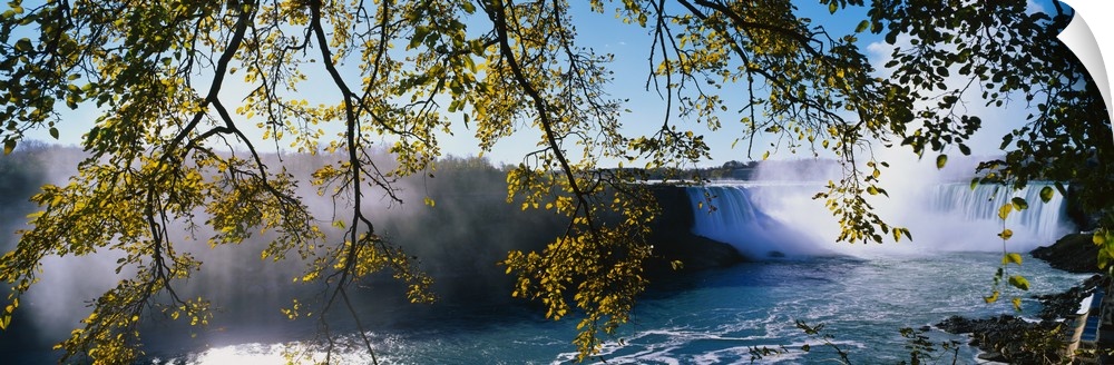 Panoramic photograph taken of Niagara Falls through low hanging tree branches that stretch across the picture.