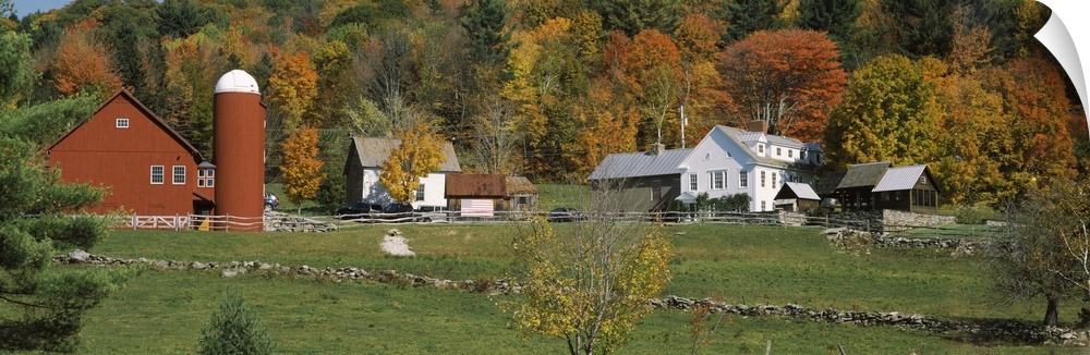 Red barn and house in VT..Red barn, house and rock walls at bast of hill with Fall color trees at Weston, VT.