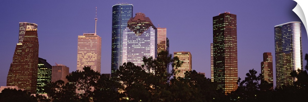 A panoramic view of the Houston skyline with the buildings illuminated and trees that line the bottom of the picture.