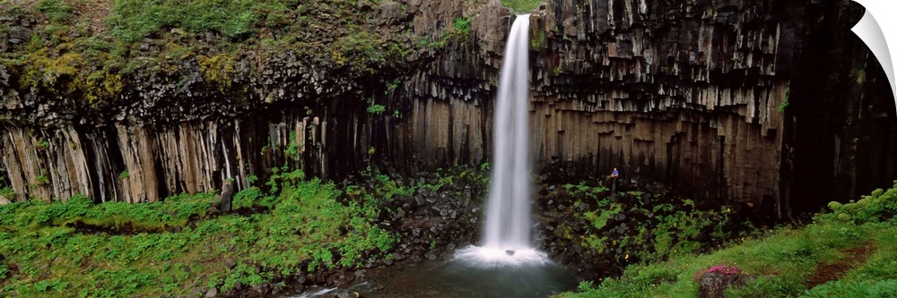 Iceland, Skaftafell National Park, Svartifoss Waterfall, Waterfall in the park