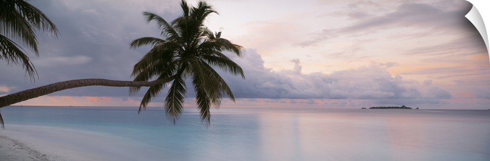 Large art piece of the still ocean with a cooler toned sky above. Palm trees float over the sand and water.