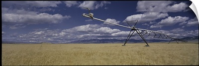 Irrigation Wheat Field MT