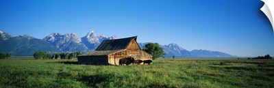 John Moulton Barn in field with bison, Grand Teton National Park, Wyoming