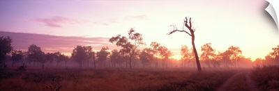 Kakadu National Park Northern Territory Australia