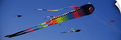 Kite on Blue Sky