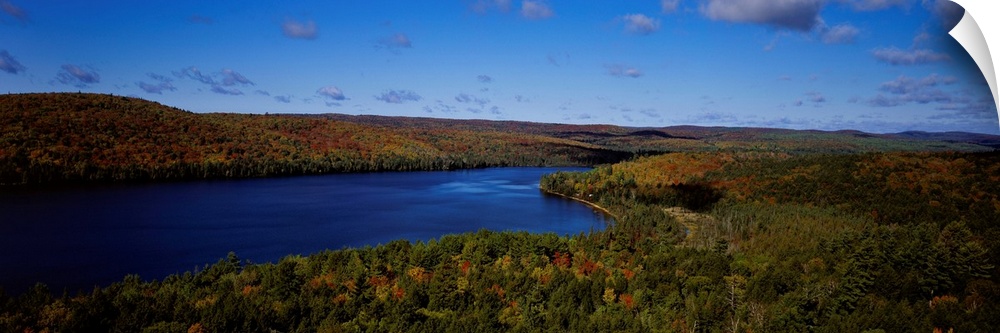 Lake in a forest, Rock Lake, Algonquin Provincial Park, Ontario, Canada