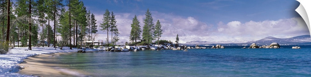 This large panoramic piece is a photograph of the Lake Tahoe coast. Pine trees line the snow covered sand and blue water c...