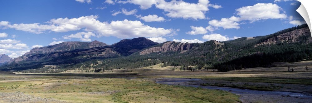 Lamar Valley Soda Butte Creek Yellowstone National Park WY