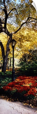 Lamppost in a park, Central Park, Manhattan, New York City, New York