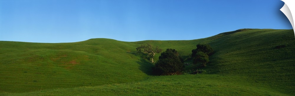 Landscape CA