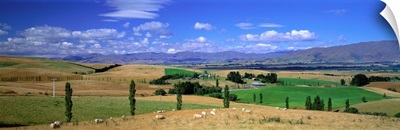 Landscape Fairlie New Zealand