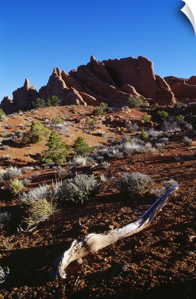 Landscape With Sandstone Fins
