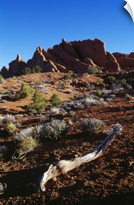 Landscape With Sandstone Fins