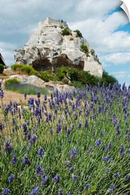 Lavender field in front of ruins of fortress on a rock, Les Baux-de-Provence, France