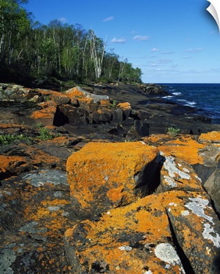 Lichen-covered boulders on Lake Superior shoreline, Cascade River State Park, Minnesota