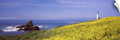 Lighthouse on the coast Pigeon Point Lighthouse San Mateo County California