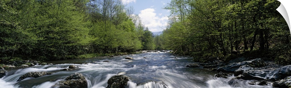 A river filled with boulders and rapids rushes through the forest in this panoramic photograph for decorative wall art.