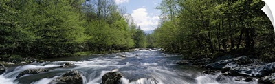 Little Pigeon River Greenbrier Area Great Smoky Mtns National Park TN