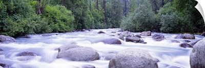 Little Susitna River AK