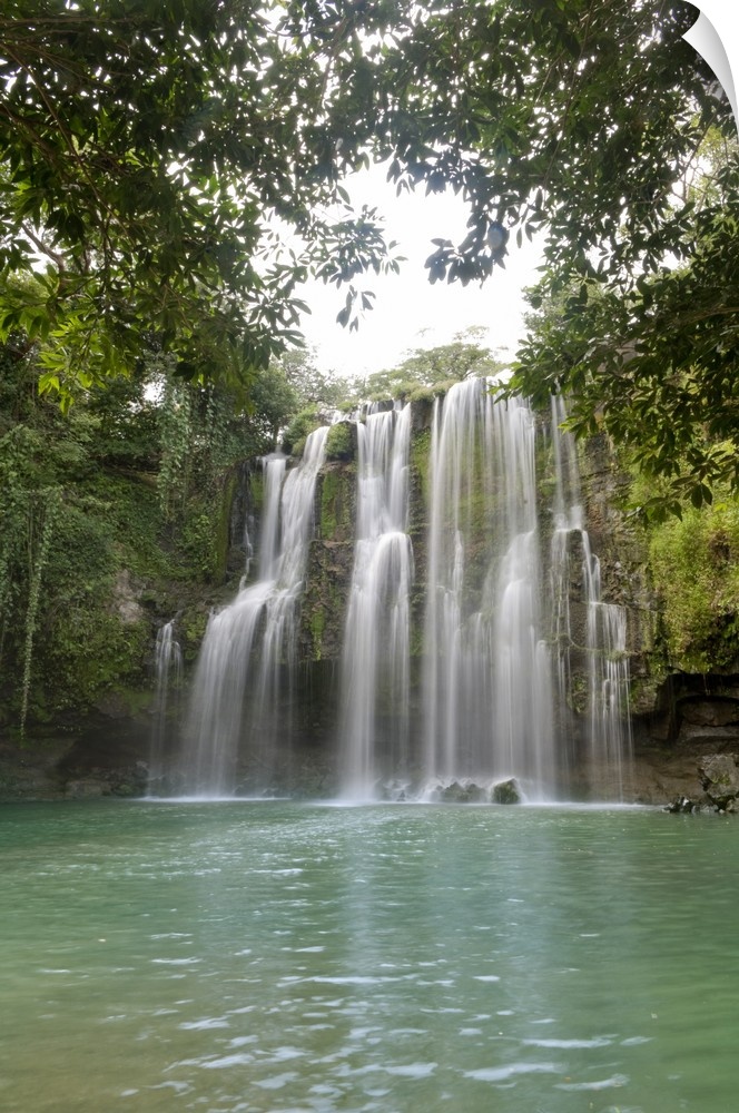 Water cascades down a short vertical cliff into a pond in the tropical forest of this vertical landscape photograph.