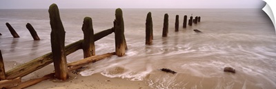 Logs on the beach, Spurn, Yorkshire, England