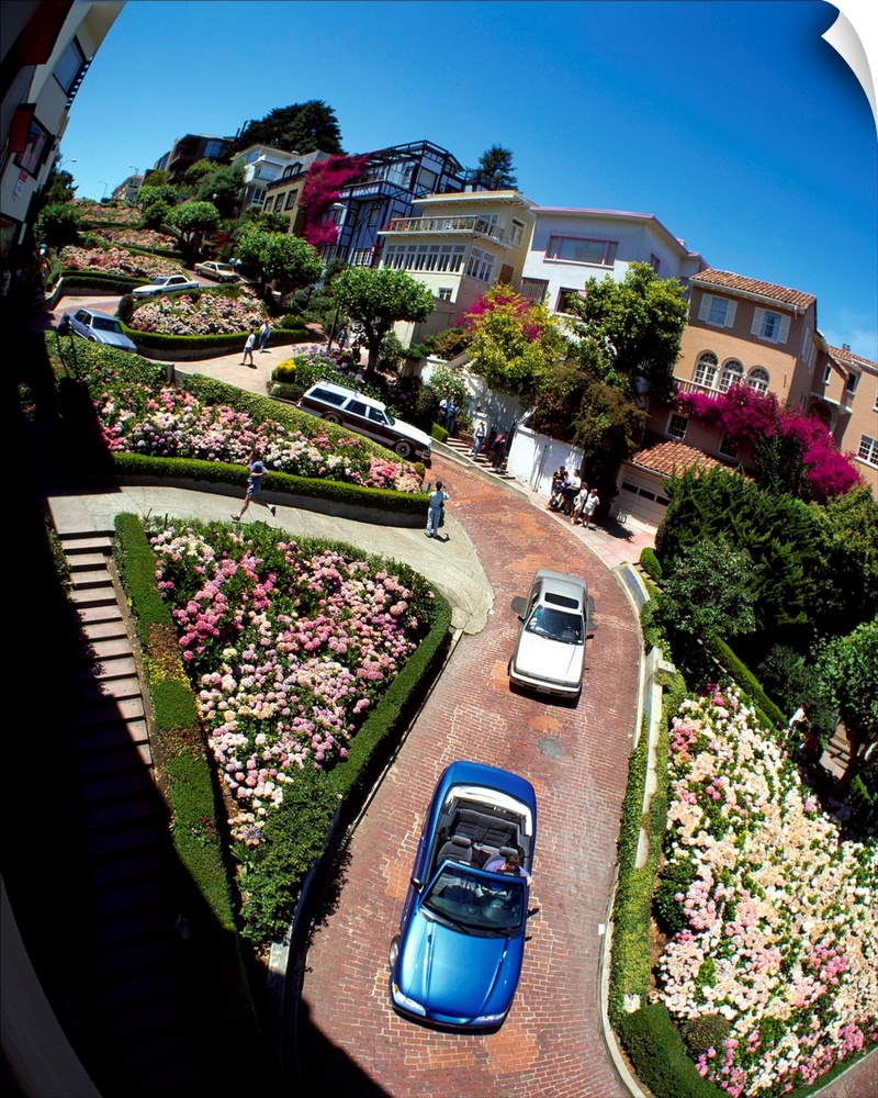 Low-angle view of brick paved roadway winding through hills covered in flower gardens and homes under a clear sky.
