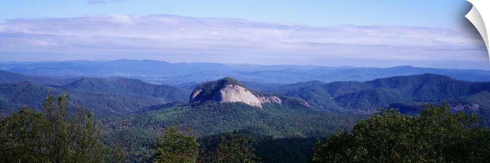 Panoramic, high angle photograph of treetops in front of a distant Looking Glass Rock, surrounded by green mountains along...