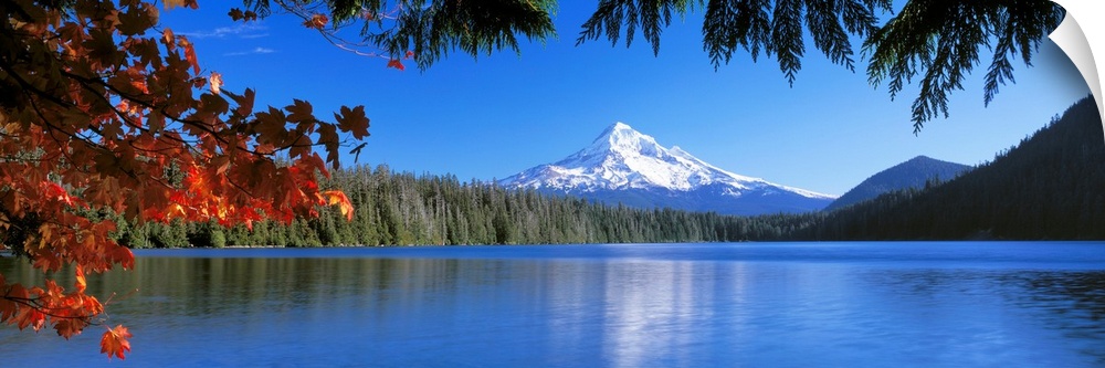 In the wilderness a mountain peak reflects in a lake surrounded by trees on this panoramic wall art.