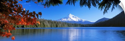 Lost Lake Mt Hood National Forest OR