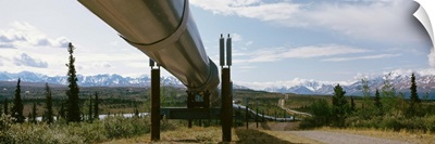 Low angle view of a pipeline, Trans Alaska Pipeline, Alaska