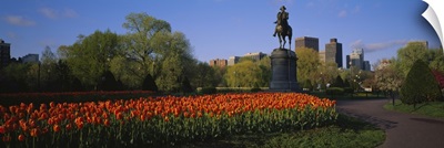Low angle view of a statue in a garden, George Washington Statue, Boston Public Garden, Boston, Massachusetts