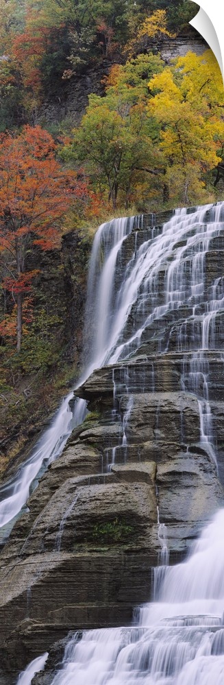 Portrait, low angle photograph on a large canvas of Ithaca Falls in Ithaca, New York.  Brightly colored autumn trees above...
