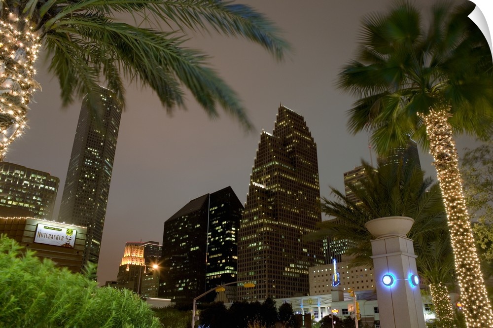 Landscape, large photograph, looking up through several palm trees at the lit skyscrapers of the Wortham Theater Center ar...