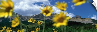 Low angle view of mountains, Montana