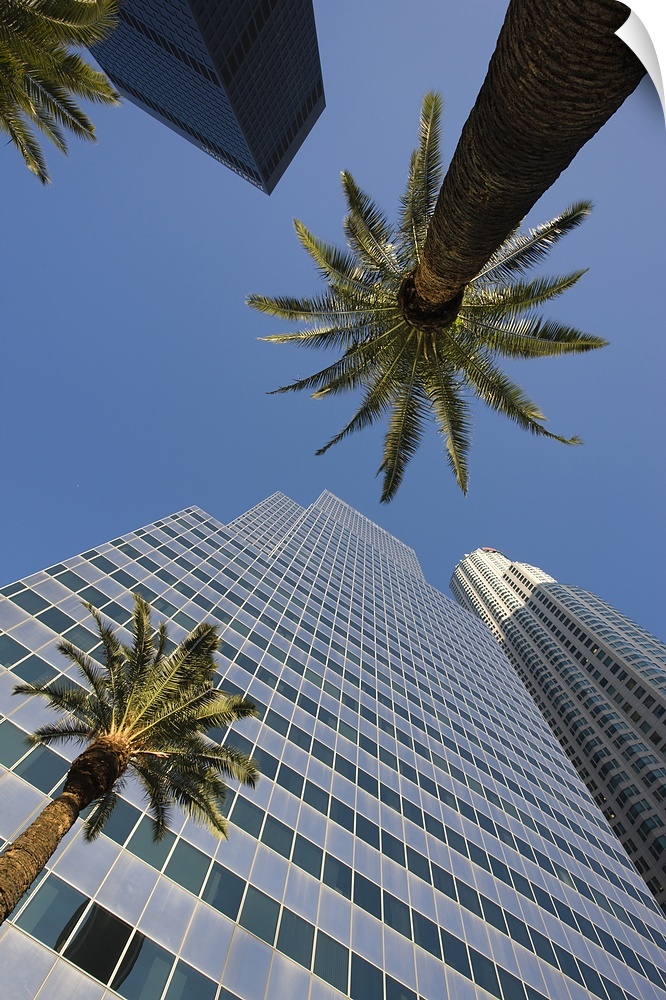 Low angle view of office buildings, Los Angeles, California, USA