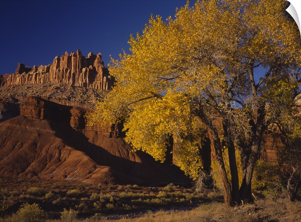 Low angle view of rock formations, Capitol Reef National Park, Utah