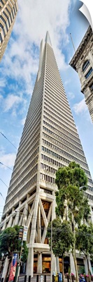 Low angle view of skyscrapers, Transamerica Pyramid, San Francisco, California