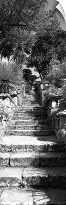 Low angle view of steps in a garden, Neptunes Steps, Tresco Abbey Garden, Tresco, Isles Of Scilly, England