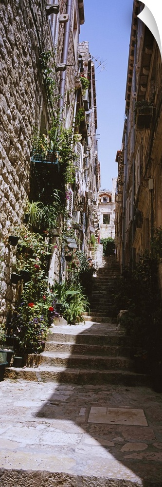 Low angle view of steps in an alley, Dubrovnik, Croatia
