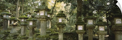 Low angle view of stone lanterns, Kasuga Taisha, Nara, Japan