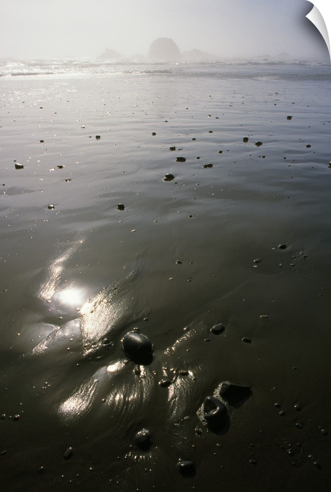 Low Angle View Of Sunlight On Beach