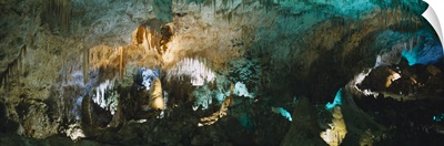 Low angle view of the ceiling of a cave, Hall Of Giants, Carlsbad Caverns National Park, Carlsbad, New Mexico